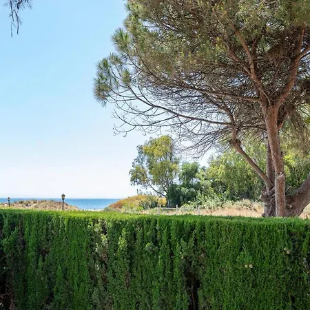 Bright With Swimming Pool And Beachfront *